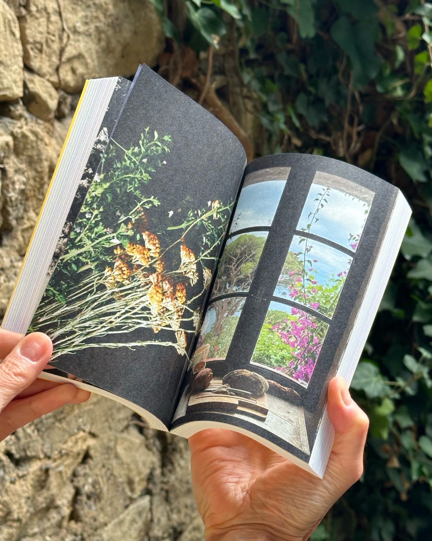 Couvent de Pozzo x livre de recettes .La table du couvent